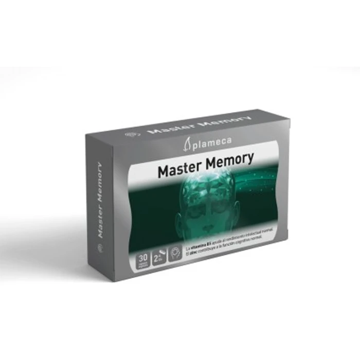 Master Memory Plameca